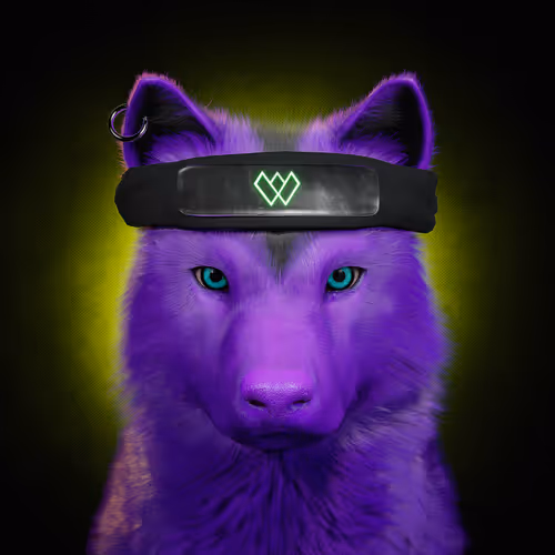 Item #51628722586039824377001441042494031360917468859671423438482706492708435997188 Media