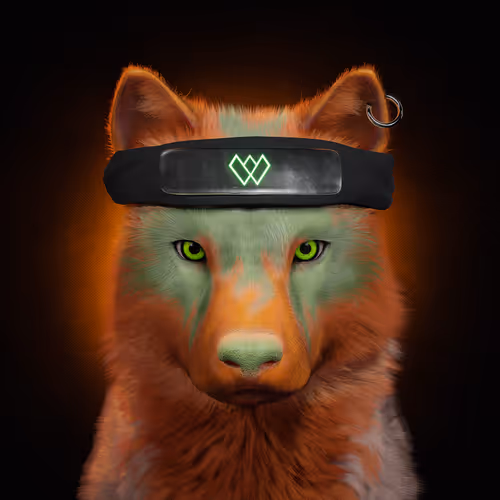 Wolf #635