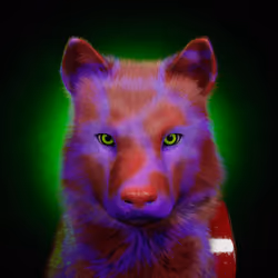 Wolf #1414