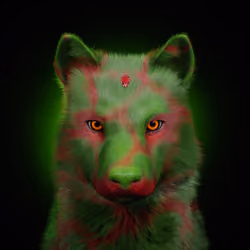 Wolf #1873