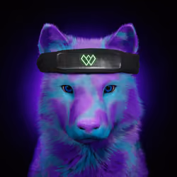 Wolf #1126