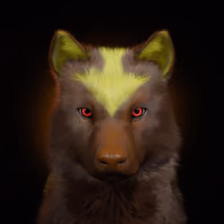 Wolf #2342