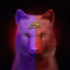Wolf #1527
