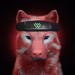 Wolf #2511