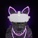38929249988077950033552177366391530530541708374606141430439881429522063124310
