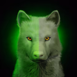 Wolf #1257