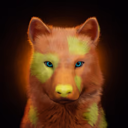 Wolf #509