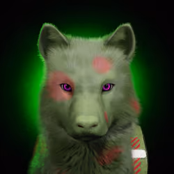 Wolf #2442