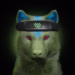 Wolf #1807