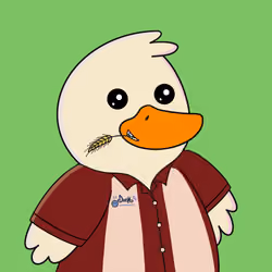 CyberDucks Evolution #5023