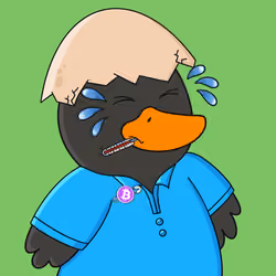 CyberDucks Evolution #7077