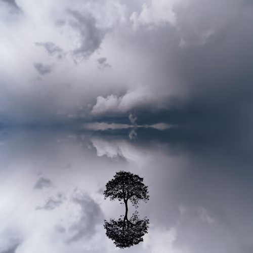 Reflection #51