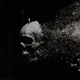 ABSENTIA