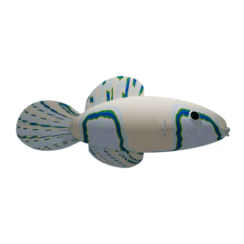 Item #51 Media