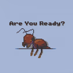 PRE-REVEAL