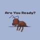 PRE-REVEAL