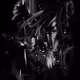 Life in Darkness