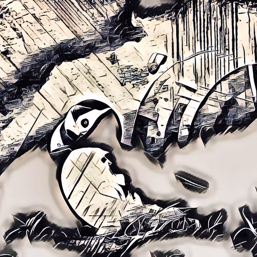 6