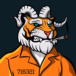 686