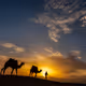 Travel