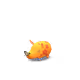 23717
