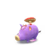 77263