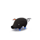 6050