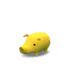 50534