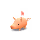 43658