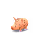 58592