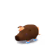 50533