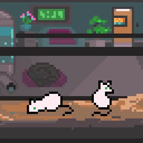 Palz - Cat & Mouse