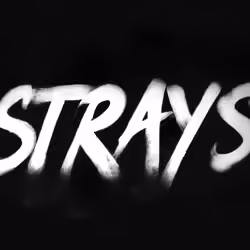Stray #316