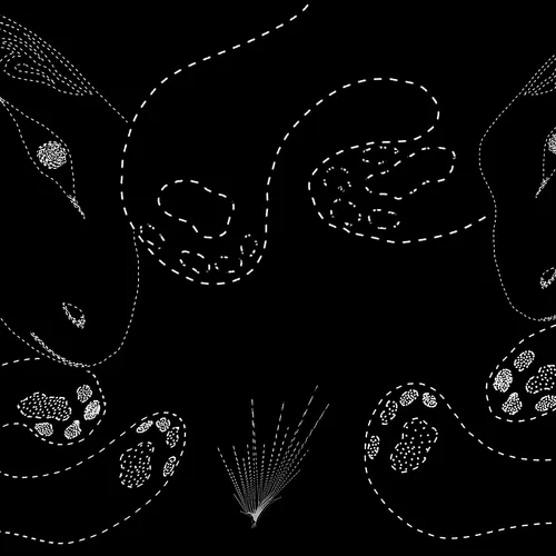 LONG STORY SHORT; HUMAN RULES.