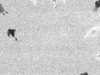 Shadowing Gifs