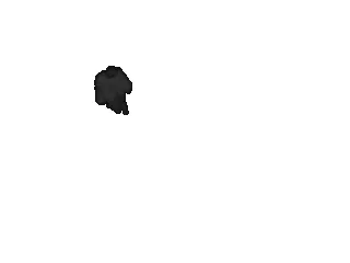 Item #31 Media