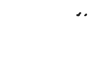 Shadowing Gifs