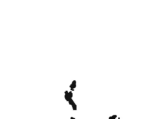 Shadowing Gifs