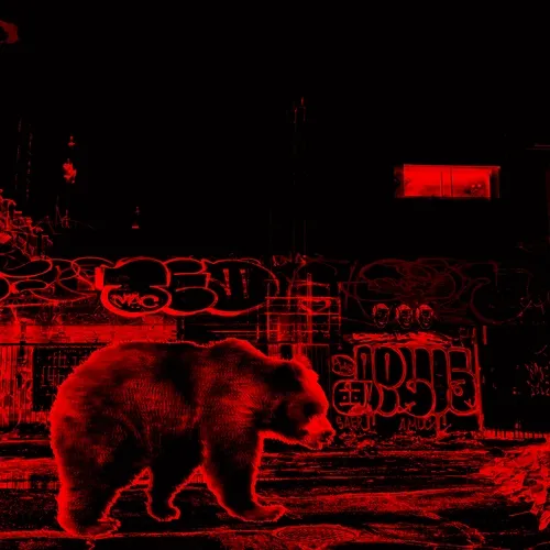 Bear Sklbcbgaj8
