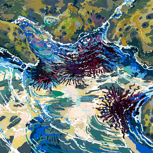 Impressions Of The Sea 1