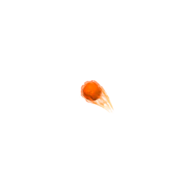 Cryptoojis