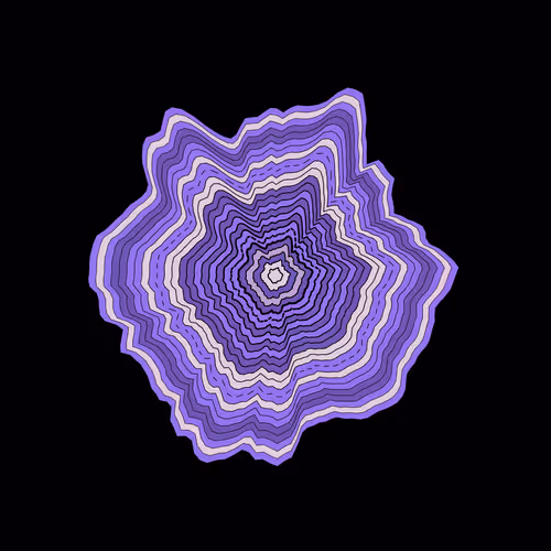 The Rings By Andrew Fernandez