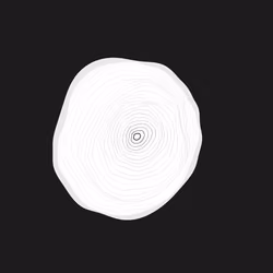The Rings #163