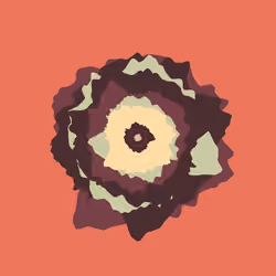 The Rings #392