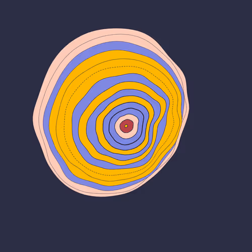 The Rings By Andrew Fernandez
