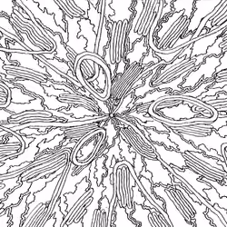 Cortex - Night Visions #39