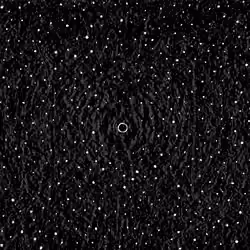 Moment - Night Visions #1415