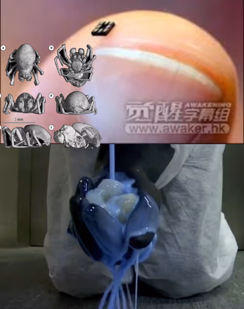 Item #7 Media