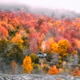 Autumn 2022