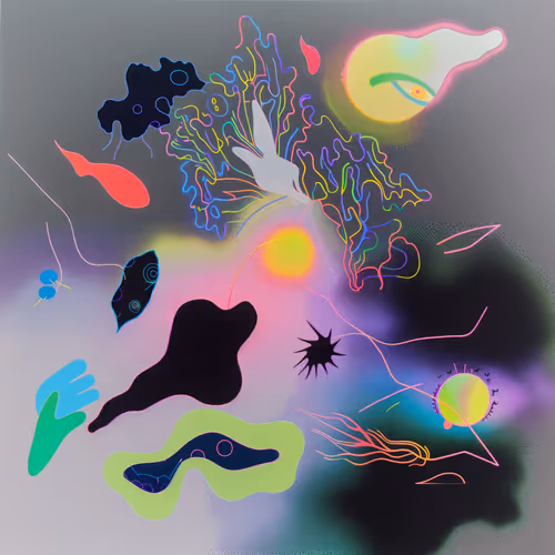 Luminous Shadows